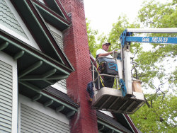 Professional Bat Removal Michigan